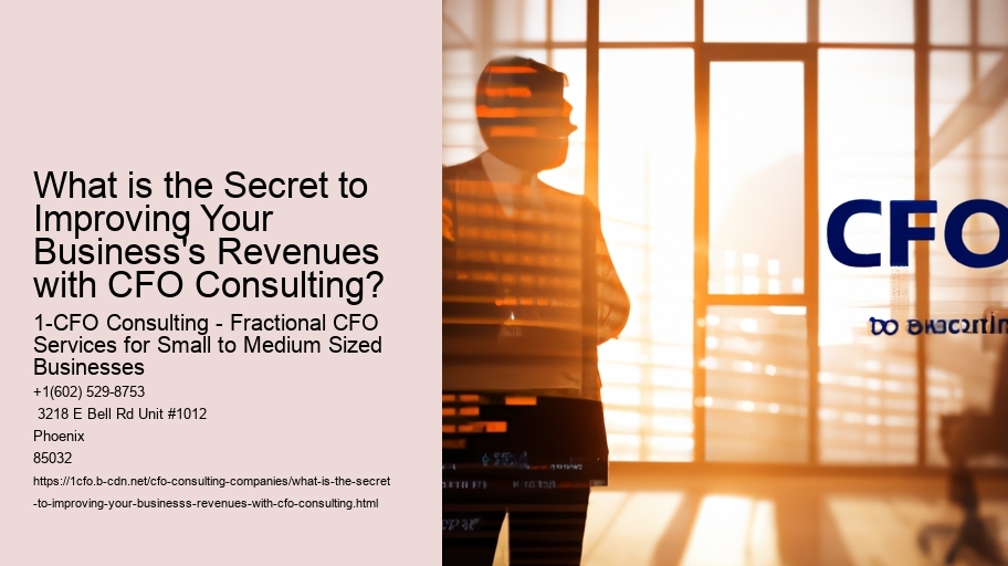 What is the Secret to Improving Your Business's Revenues with CFO Consulting?